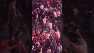 A brawl broke out in the crowd of UFC Mexico City ending with a man being knocked out