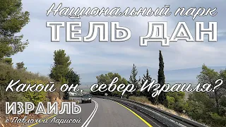 Израиль | Галилея | Тель Дан