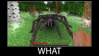 Minecraft wait what meme part 170 realistic minecraft Spider