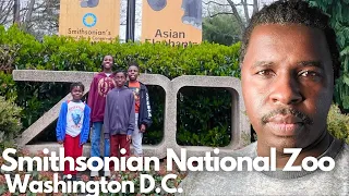 Smithsonian National Zoo in Washington DC | Must-See Animals