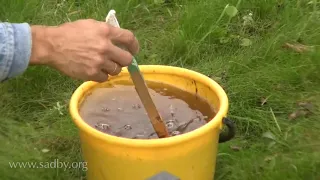 Парша профилактика и борьба - Уроки Николая Рабушко.