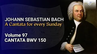 J.S. Bach: Nach dir, Herr, verlanget mich, BWV 150 - The Church Cantatas, Vol. 97