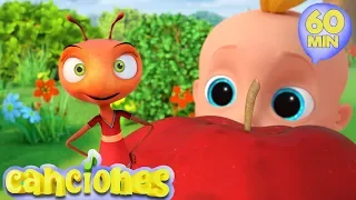 Las hormiguitas van marchando - Canciones Infantiles | Compilado LooLoo