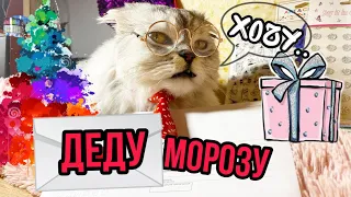 Письмо деду морозу от КОТА КЕВИНА! Какой подарок хочет кот?