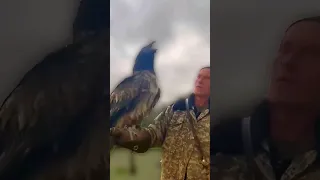 How vultures eat bones 😮