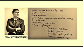 Selahattin Demirtaş Metin Kemal Kahraman Umutsuzluk Yanarken