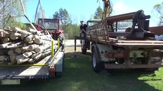 Puunajoa massikalla..kontio-sisu purkupaikalla..