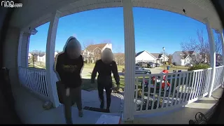 Police arrest porch pirate suspects