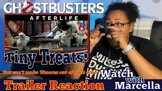 Ghostbusters Afterlife Trailer Reaction - 'Smores Galore!