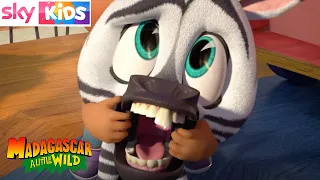 Madagascar - The Necessities - DreamWorks - Sky Kids shows