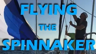 Flying The Spinnaker in Baja! - S2:E09