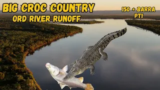 BIG CROC COUNTRY 150+ Barra  #crocodile