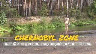 Звери в Чернобыле Путь в Припять нелегалом, вода из болота, мотошоу автостоп поход в Припять