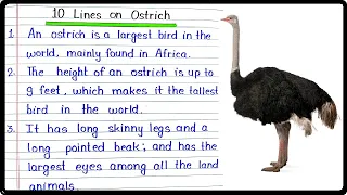 10 Lines on Ostrich in English | Ostrich 10 Points Essay | Few Lines and Sentences on Ostrich