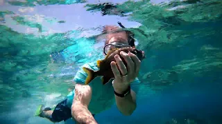Snorkeling and Spearfishing in Belize