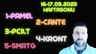 PAMEL HİSSE YORUM... #PAMEL #CANTE #PCILT #KRONT #SMRTG