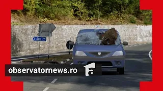 ANIMAŢIE. Maşină, strivită în mers de un bolovan desprins de pe versant. Şoferul a leşinat