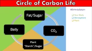 The Physiology of Fat Loss: 55 Min Phys