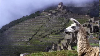 Andina Inca Music from Ecuador