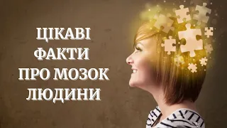 💥🔥ЦІКАВІ ФАКТИ ПРО МОЗОК ЛЮДИНИ #цікавіфакти #цікаванаука #цікаве