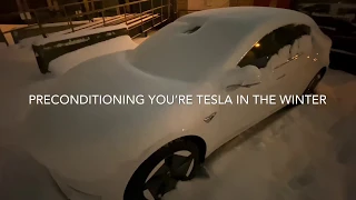 Tesla model 3 in a heavy snow and extreme cold!