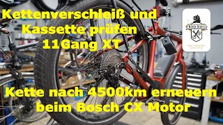 Kette erneuern am E Bike mit Bosch CX Motor. Verschleiß prüfen an Kette und Ritzel.