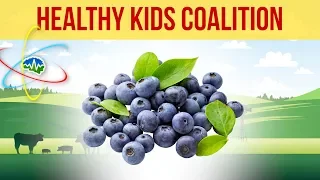 Blueberries - Healthy Kids Coalition