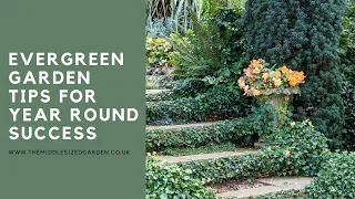 How to use evergreens for a garden that looks beautiful all year round
