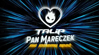 TALIP X PAN MARECZEK - NIE IDZIEMY SPAĆ (OFFICIAL VISUALIZER)