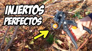 Como Hacer Injertos Perfectos (Herramienta de Injertos) 🌿 | La Huerta de Ivan