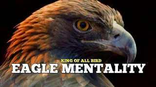 The Eagle Mentality | T.D Jakes |  Best Motivational video