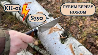 Сравниваем нашу фирменную сталь КН-01 и S390. Рубим березу ножом!