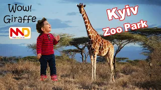 Zoo animals for kids - Зоопарк животные для детей - Kyiv (Киев)