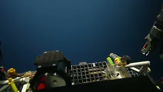 ROV Hercules Dive NA137 H1906 2 of 8 2022-03-21 22:00:12