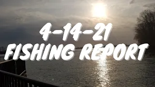 4-14-21 DETROIT RIVER Walleye FISHING REPORT