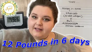 Amberlynn gains 12 pounds in 6 days | April 2024