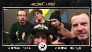 Animal ДжаZ. Видеописьмо