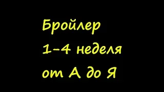 Выращивание бройлеров.Бройлеры С первого дня и до забоя. 1-4 неделя