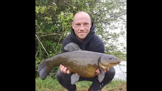 Wild tench fishing, Big Tench on Pop ups - Part 1