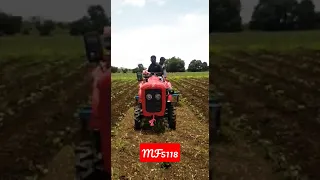 5118 Massey Ferguson 18 HP tractor