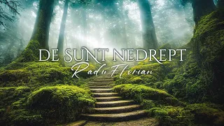 Radu Florian ''De sunt nedrept''