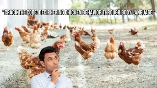 Understanding Chicken Behavior and Body Language - The Basics