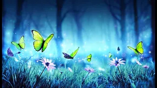 THE BUTTERFLY EFFECT | Elevate your Vibration | Positive Aura Cleanse | 432Hz