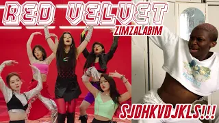 Red Velvet - Zimzalabim MV REACTION: GIMMIE DI GENIE WHINE!!! 🧞‍♀️🤯😫💖✨