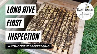 Long Hive First Inspection - What To Look For On Your First Inspection