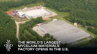 The World's Largest Mycelium Material Factory Opens in the U.S. | MycoWorks