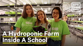 NYC School Uses Hydroponic Farm to Make Healthy School Lunches | One Small Step | NowThis