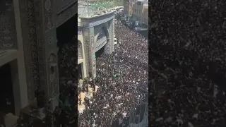 MILLIONS OF PEOPLE GATHERED IN KARBALA ❤️#karbala #iraq #iran #viralvideo #abbas #karbalastatus