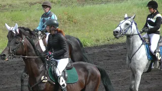 04.09.2021 г. 5-й заезд Приз Спортивный (рысь под седлом)