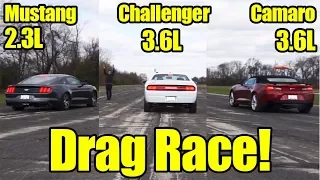 3-Way Battle! Mustang vs Camaro vs Challenger Drag Race! Its Kunes Country Prize Fights